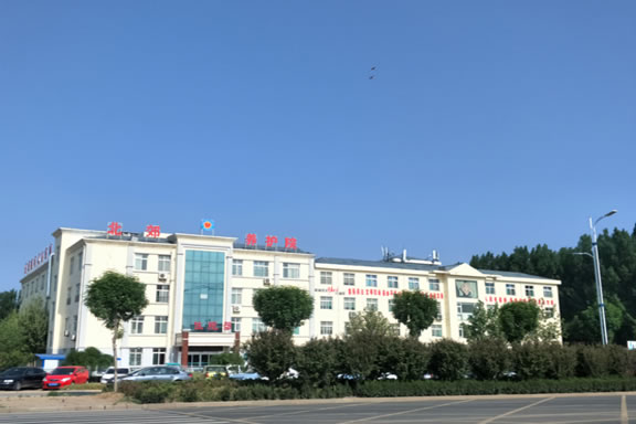 深耕养老领域,只为打造一流养老服务品牌